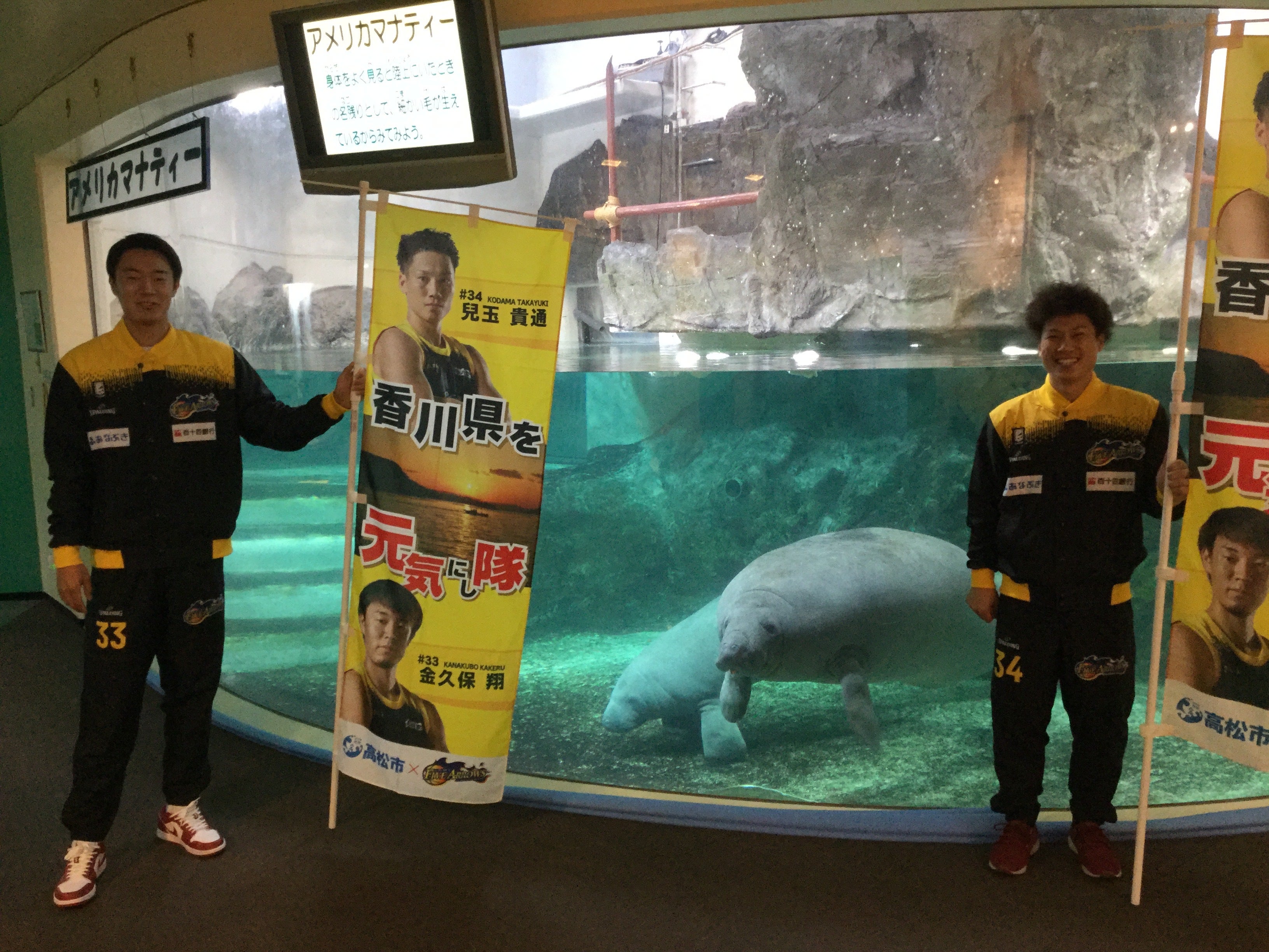 新屋島水族館②